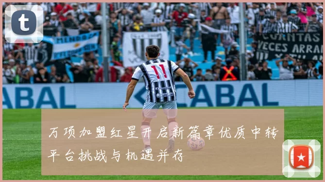 万项加盟红星开启新篇章优质中转平台挑战与机遇并存