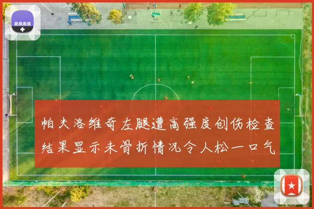 帕夫洛维奇左腿遭高强度创伤检查结果显示未骨折情况令人松一口气
